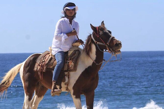 Beach & Desert Horseback Tour - Exploring the Beach & Desert Horseback Tour in Cabo San Lucas