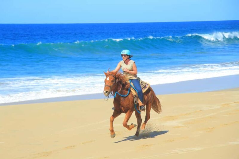 Beach & Deset 3 in 1 Tour in Cabo by Cactus Tours - FAQ