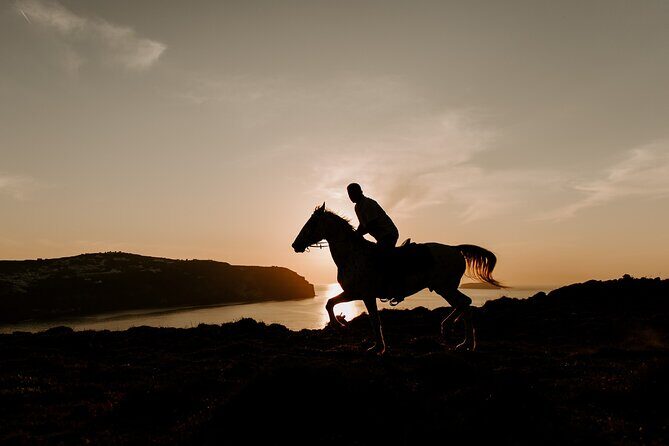 Beach gallop - horse riding Safari for experienced riders - Who Should Consider This Tour?