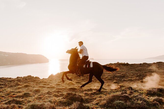 Beach gallop - horse riding Safari for experienced riders - Final Thoughts: Is It Right for You?