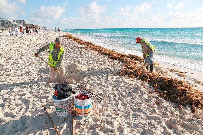 Beach Guardians Clean up & Picnic plus Otoch Mayan Experience - The Full Experience: A Deep Dive into the Tour