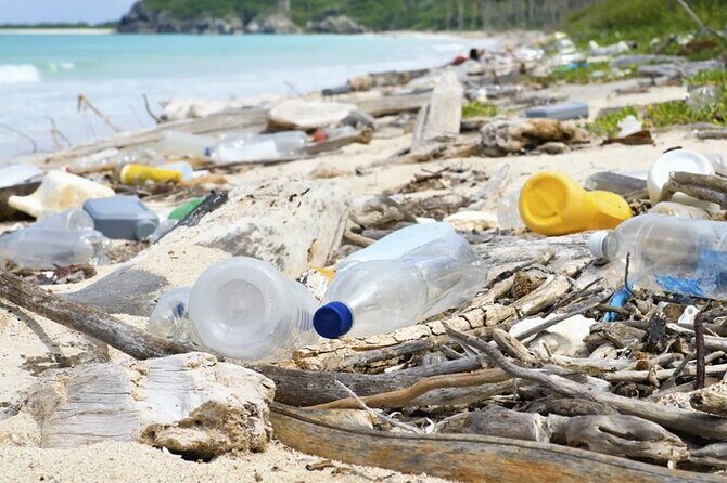 Beach Guardians Clean up & Picnic plus Otoch Mayan Experience - Who Will Enjoy This Tour?