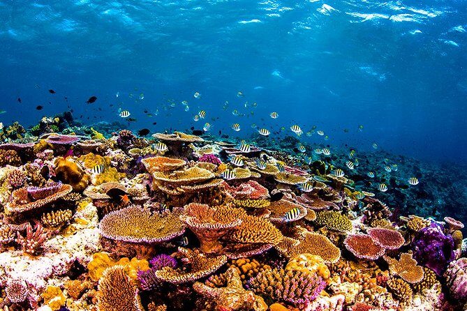 Beach Holiday in Samal Islands (8 Hours) - Exploring the Samal Islands: What to Expect from This Tour