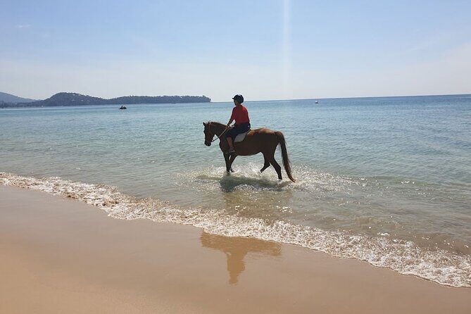 Beach Horse Riding Activity in Phuket - Cancellation Policy and Practicalities