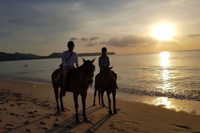 Beach Horse Riding At Sunset In Phuket - The Horses & Safety