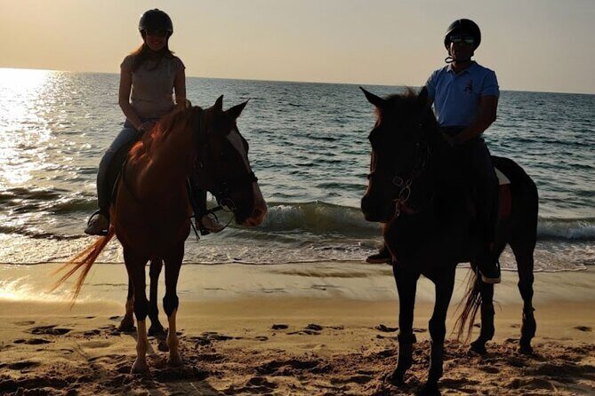 Beach Horse Riding At Sunset In Phuket - Summary of the Pros and Cons