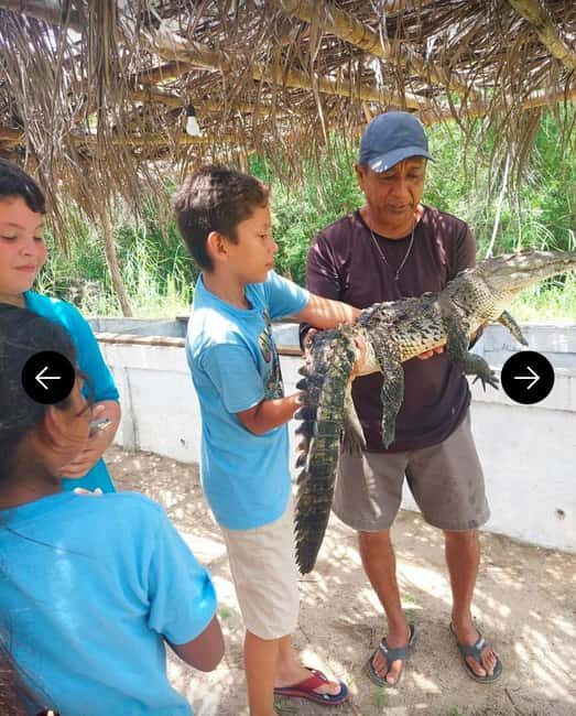 .Beach Horse Riding Turtle Release Crocodile Farm Experience - Key Points