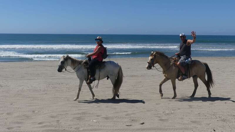.Beach Horse Riding Turtle Release Crocodile Farm Experience - Who This Tour Is Best For