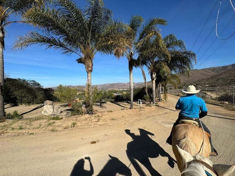 Beach Horseback Riding from the Port of Ensenada - The Sum Up