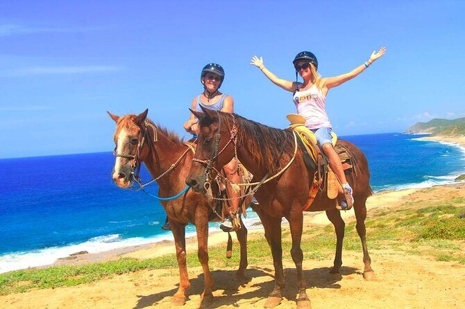 Beach Horseback Riding in Los Cabos - Exploring the Experience