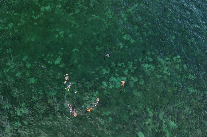 Beach Snorkeling Adventure in Lauderdale by the Sea - FAQ