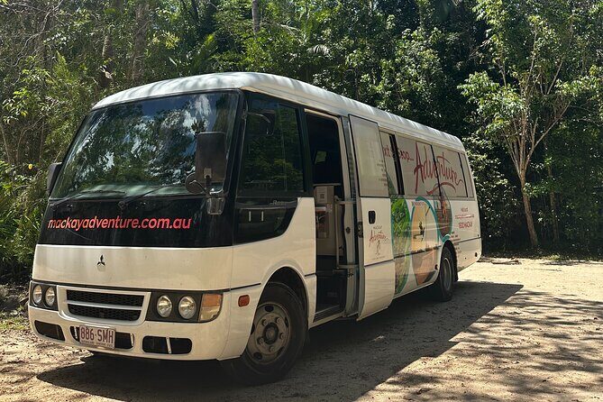 Beach Sunrise with the Wallabies - FAQ