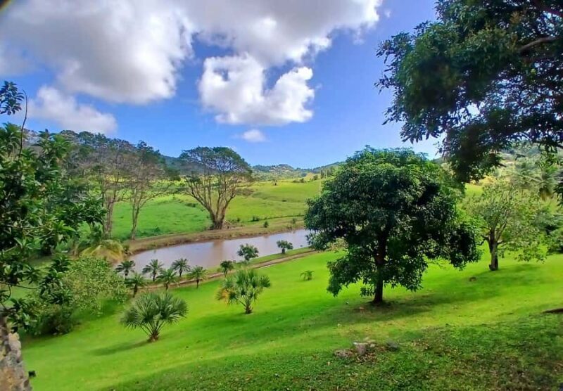 Beach tour and visit to a rum distillery in Le Marin with driver - Key Points