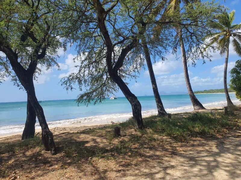 Beach tour and visit to a rum distillery in Le Marin with driver - Authenticity and Visitor Feedback