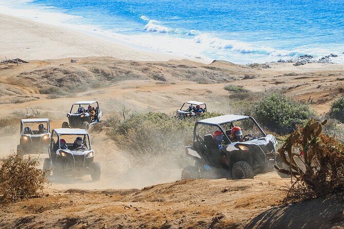 Beach UTV & Sky Bike COMBO in Cabo by Cactus Tours Park - Final Thoughts
