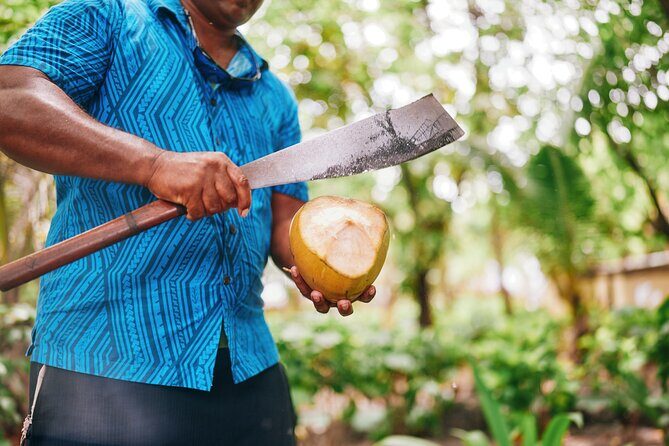 Beachcomber Island Day Trip Fiji's Authentic Island Experience - Introduction: A Fun-Filled Day on a Vibrant Island