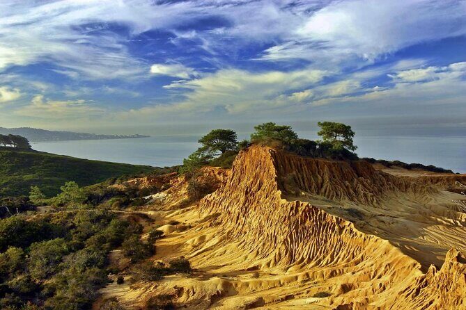 Beaches & Bluffs San Diego's Ultimate Coastal Driving Tour - An In-Depth Look at the Beaches & Bluffs Tour