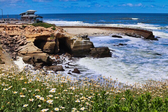 Beaches & Bluffs San Diego's Ultimate Coastal Driving Tour - Who Should Consider This Tour?