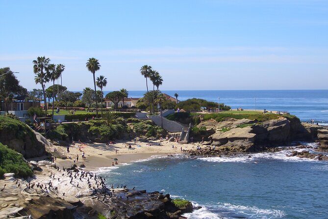 Beaches & Bluffs San Diego's Ultimate Coastal Driving Tour - FAQ