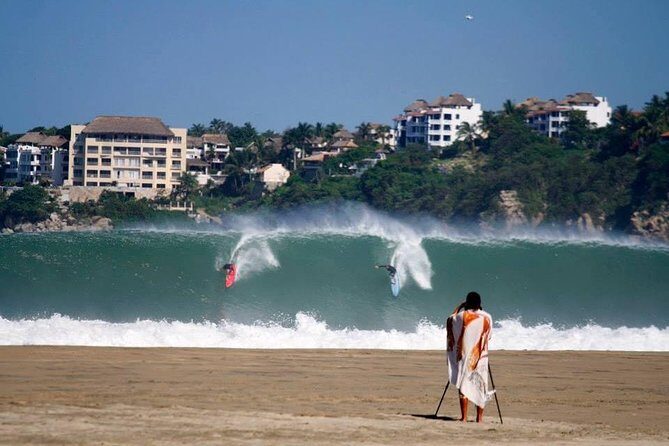 Beaches Dolphins And Viewpoints Discovering The Hidden Port By Sea And Land - An In-Depth Look at the Tour Experience