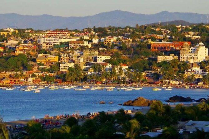 Beaches Dolphins And Viewpoints Discovering The Hidden Port By Sea And Land - FAQ