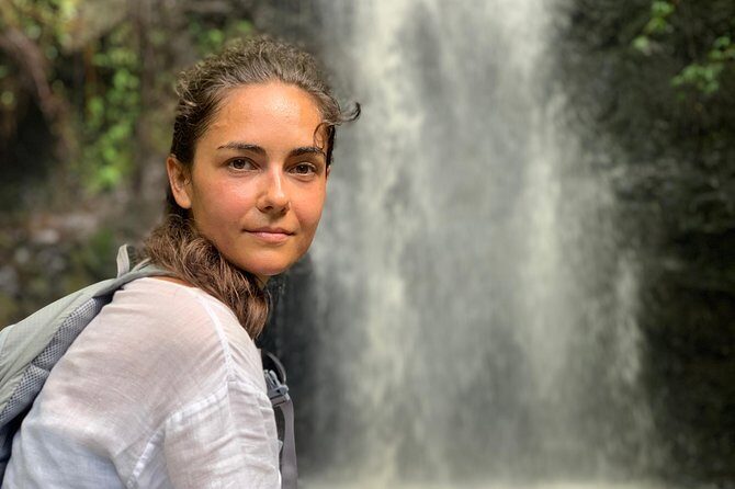 Beaches, Food & Aloha: Private Oahu Tour - Why This Tour Offers Great Value