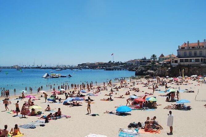 Beaches of Cascais and the Guincho Private Day Tour - Key Points
