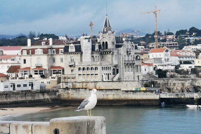 Beaches of Cascais and the Guincho Private Day Tour - Final Thoughts