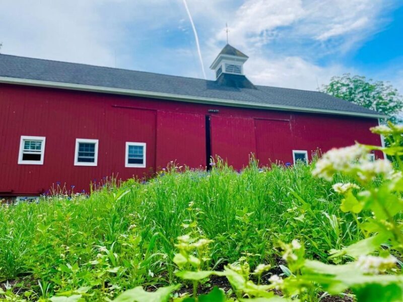 Beacon: Food & Farm Tour in the Hudson Valley - Exploring the Hudson Valley with the Food & Farm Tour
