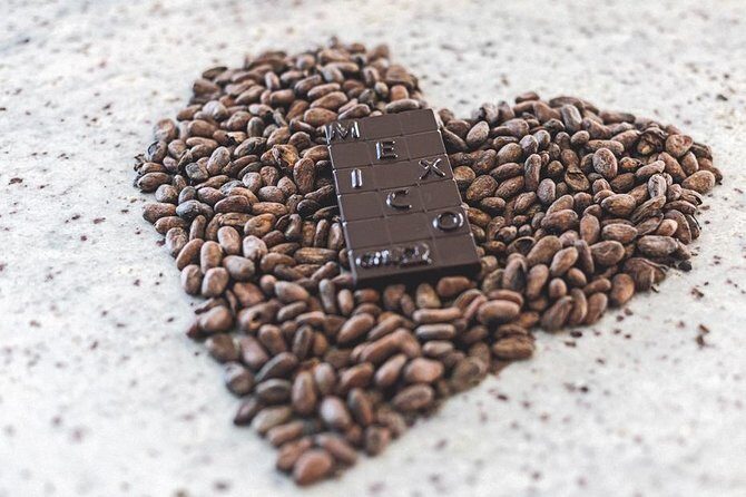 Bean to Bar Chocolate Workshop in Puerto Vallarta - FAQ