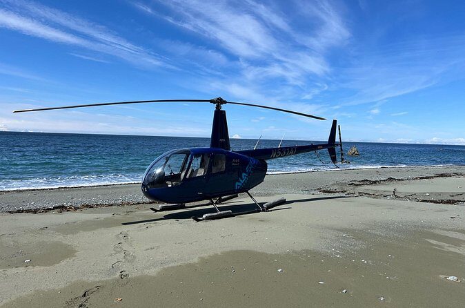 Bear Glacier Helicopter Tour with Landing - The Sum Up