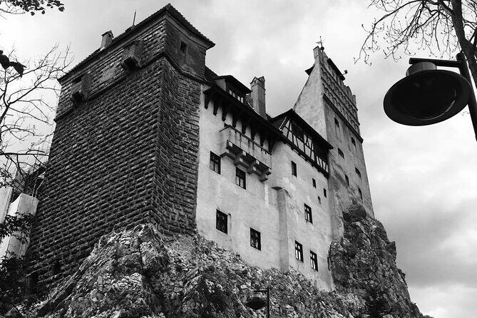 Bear Sanctuary and Bran Castle from Brasov - Final Thoughts