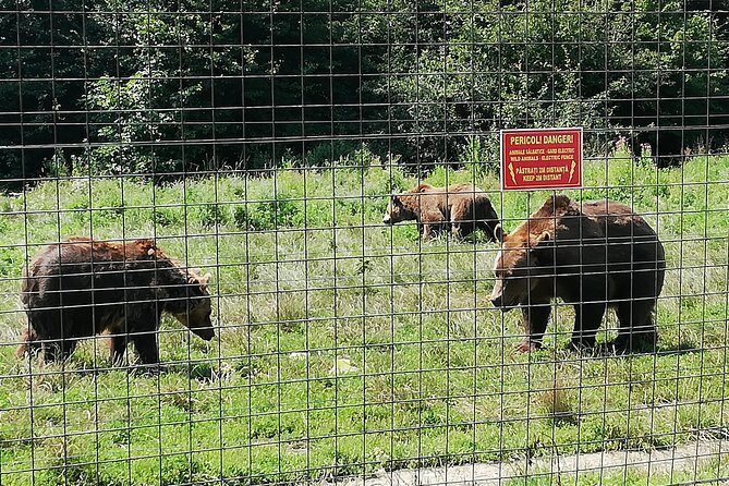 Bear Sanctuary and Dracula's Castle, 1-day Private Tour - Final Verdict