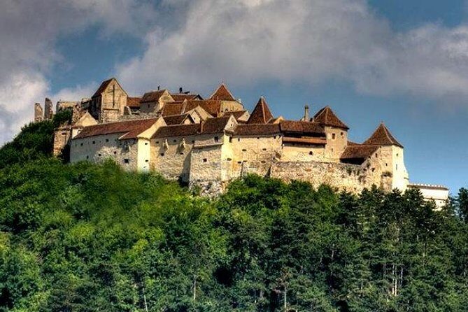 Bear Sanctuary & Rasnov Fortress - Private day tour from Bucharest - Final Thoughts