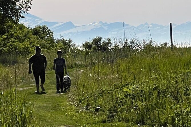 Bear Spray Rental 10 oz Counter Assault with Holster & Bear Bell - The Sum Up: Is This Rental Right for You?