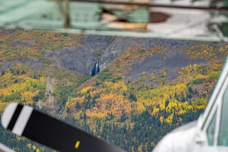 Bear Viewing Tour from Homer, Alaska - An In-Depth Look at the Experience