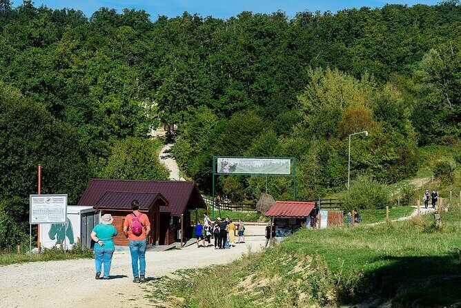 Bears Libearty Sanctuary and Dracula Bran Castle Day Trip - Practical Aspects of the Tour