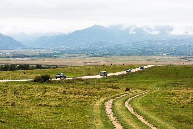 Bears Libearty Sanctuary and Dracula Bran Castle Day Trip - FAQs