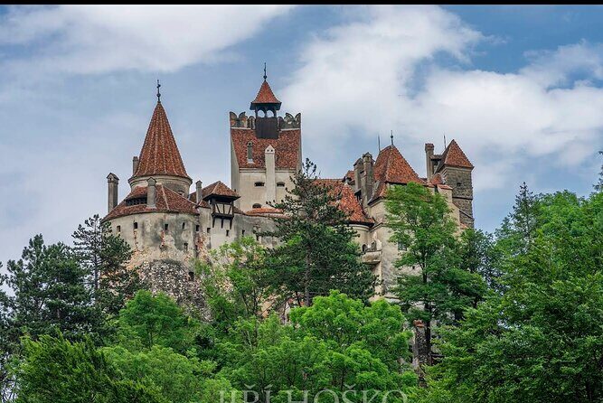 Bears Sanctuary, Dracula's Castle and Braov City - Private Tour - What’s Included and What to Consider