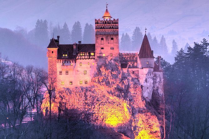 Bears Sanctuary, Dracula's Castle, Brasov Day Trip Private Tour from Bucharest - FAQs