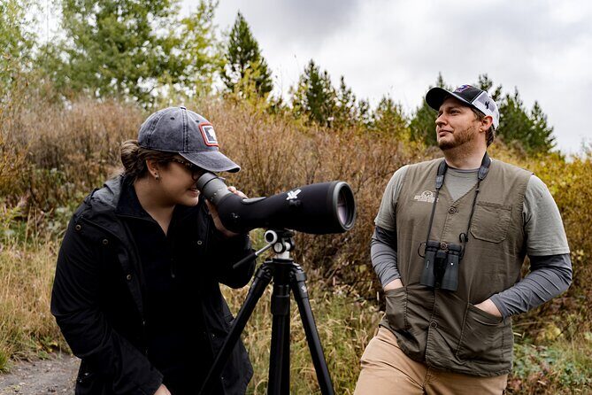 Beartooth Highway Private Tour With Wildlife Guide - The Scenic Heart of Montana and Wyoming