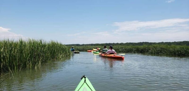 Beaufort: Guided Kayak Tour with Wildlife Viewing - An in-depth look at the Beaufort Kayak Tour Experience