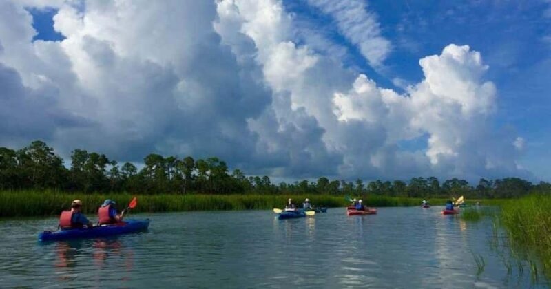 Beaufort: Guided Kayak Tour with Wildlife Viewing - Why choose this experience?