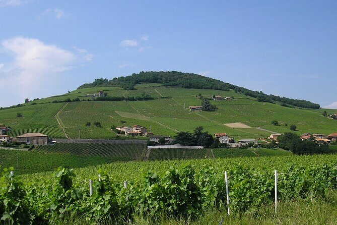 Beaujolais Half Day Wine Tasting Tour - An In-Depth Look at the Beaujolais Half Day Wine Tasting Tour
