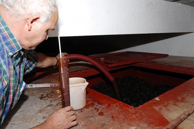 Beaujolais & Perouges Medieval Town (9:00 am to 5:15 pm - Small Group Tour Lyon - Final Thoughts