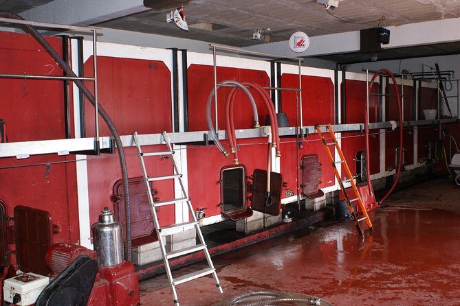 Beaujolais Wine Discovery - Half Day - Small group tour from Lyon - Discovering Beaujolais: A Guided Wine & Village Tour from Lyon