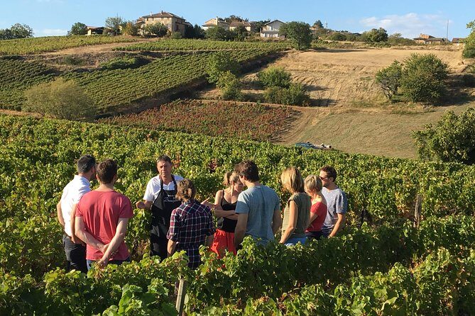 Beaujolais Wine Discovery - Half Day - Small group tour from Lyon - Authenticity and Unique Experiences
