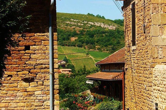 Beaujolais wine tour from Lyon half day - An In-Depth Look at the Beaujolais Half-Day Tour