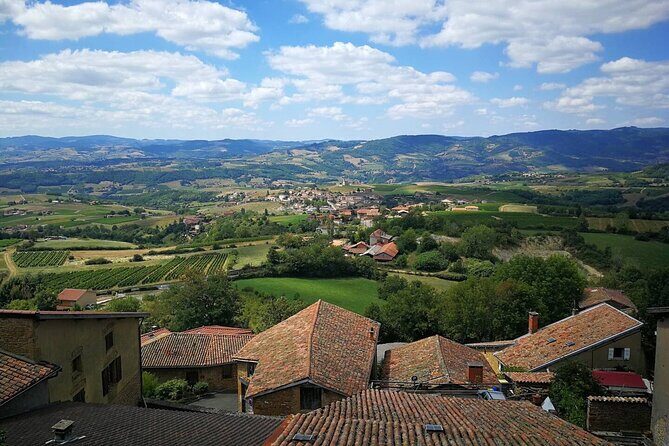 Beaujolais Wine Tour - Tastings & Gourmet Picnic Lunch - An Authentic Day in the Beaujolais: Your Itinerary Breakdown