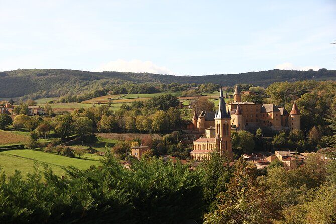 Beaujolais Wine Tour - Tastings & Gourmet Picnic Lunch - What We Loved About the Tour